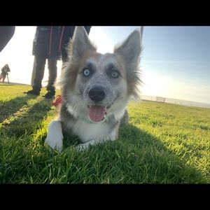 Meet your Posher, Alexis